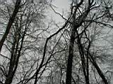 PC110009.JPG