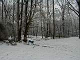 PC110016.JPG