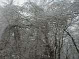 PC110032.JPG