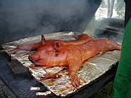 P1010003.JPG