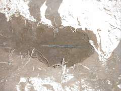 im4.JPG